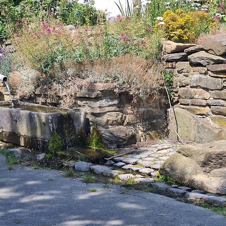 شقة La Petite Source Gouvy المظهر الخارجي الصورة